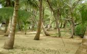 Туры в отель Chapwani Private Island Resort