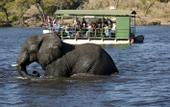 Туры в отель Chobe Marina Lodge