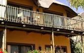 Туры в отель Chobe Marina Lodge