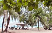 Туры в отель Sharazad Oasis Retreat