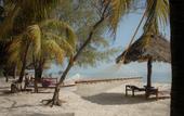 Туры в отель Sharazad Oasis Retreat