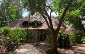 Туры в отель Sharazad Oasis Retreat