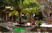 Туры в отель Sharazad Oasis Retreat