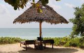 Туры в отель Sharazad Oasis Retreat