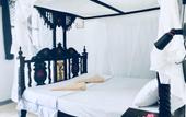 Туры в отель Coco Beach Hotel