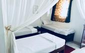 Туры в отель Coco Beach Hotel