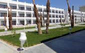 Туры в отель Smart Line Color Beach