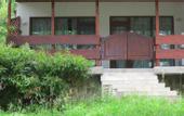 Туры в отель Hotel Forest Beach