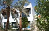 Туры в отель Al Diwan Resort