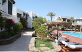 Туры в отель Al Diwan Resort