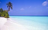 Туры в отель Safari Island Resort
