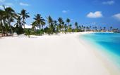 Туры в отель Safari Island Resort