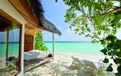 Туры в отель Safari Island Resort