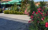 Туры в отель Iva Resort