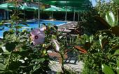 Туры в отель Iva Resort