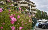 Туры в отель Long Beach Hotel & Spa
