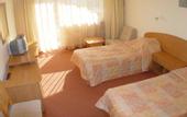 Туры в отель Gergana Balneohotel