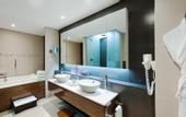 Туры в отель Carlton Downtown Hotel