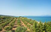 Туры в отель Logga Beach Hotel