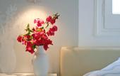 Туры в отель Zefiros Traditional Hotel