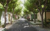 Туры в отель Camping Playa Cambrils - Don Camilo