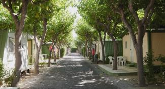 Camping Playa Cambrils - Don Camilo 1*