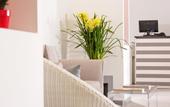 Туры в отель Hotel Spicy