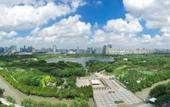 Туры в отель Dorsett Shanghai