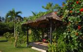 Туры в отель Cinnamon Beach Villas