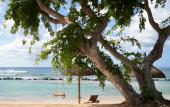 Туры в отель The Westin Turtle Bay Resort & Spa, Mauritius