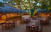 Туры в отель Cinnamon Grand Colombo