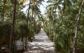 Туры в отель Nakai Maayafushi Resort