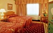 Туры в отель Circus Circus Hotel & Casino