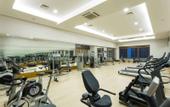 Туры в отель Terrace Elite Resort