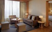 Туры в отель Radisson Blu Hotel New Delhi Dwarka