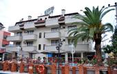 Туры в отель Hotel Green Palm