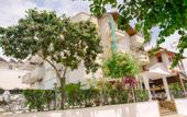 Туры в отель Hotel Green Palm