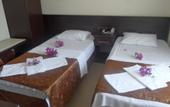 Туры в отель Hotel Green Palm