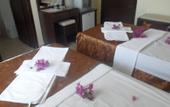Туры в отель Hotel Green Palm