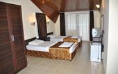 Туры в отель Hotel Green Palm