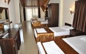 Туры в отель Hotel Green Palm