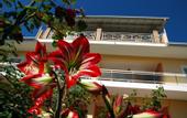 Туры в отель Omirikon Hotel & Apartments