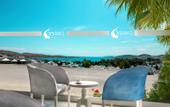 Туры в отель Club Shark Hotel