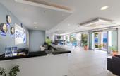 Туры в отель Club Shark Hotel
