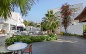 Туры в отель Club Shark Hotel