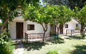 Туры в отель Leda Beach Hotel