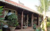 Туры в отель Feng Shui Resort & Spa