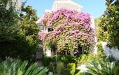 Туры в отель Garden Pavlovic