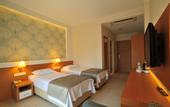Туры в отель Dilekagaci Boutique Hotel & Beach