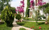 Туры в отель Safir Hotel